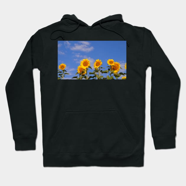 Sunflower days Hoodie by Sopicon98